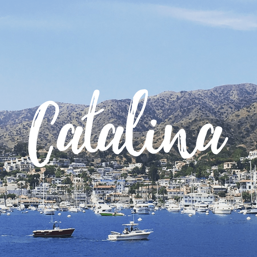 Catalina Day Trip Itinerary