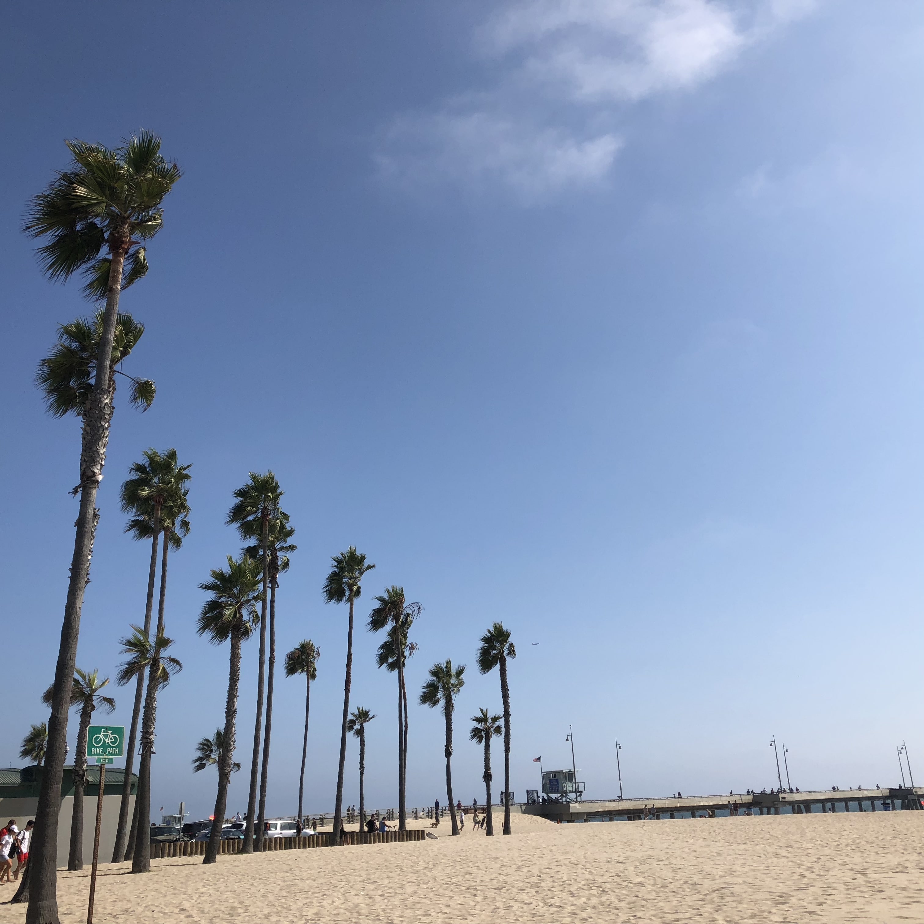 Venice Beach Guide