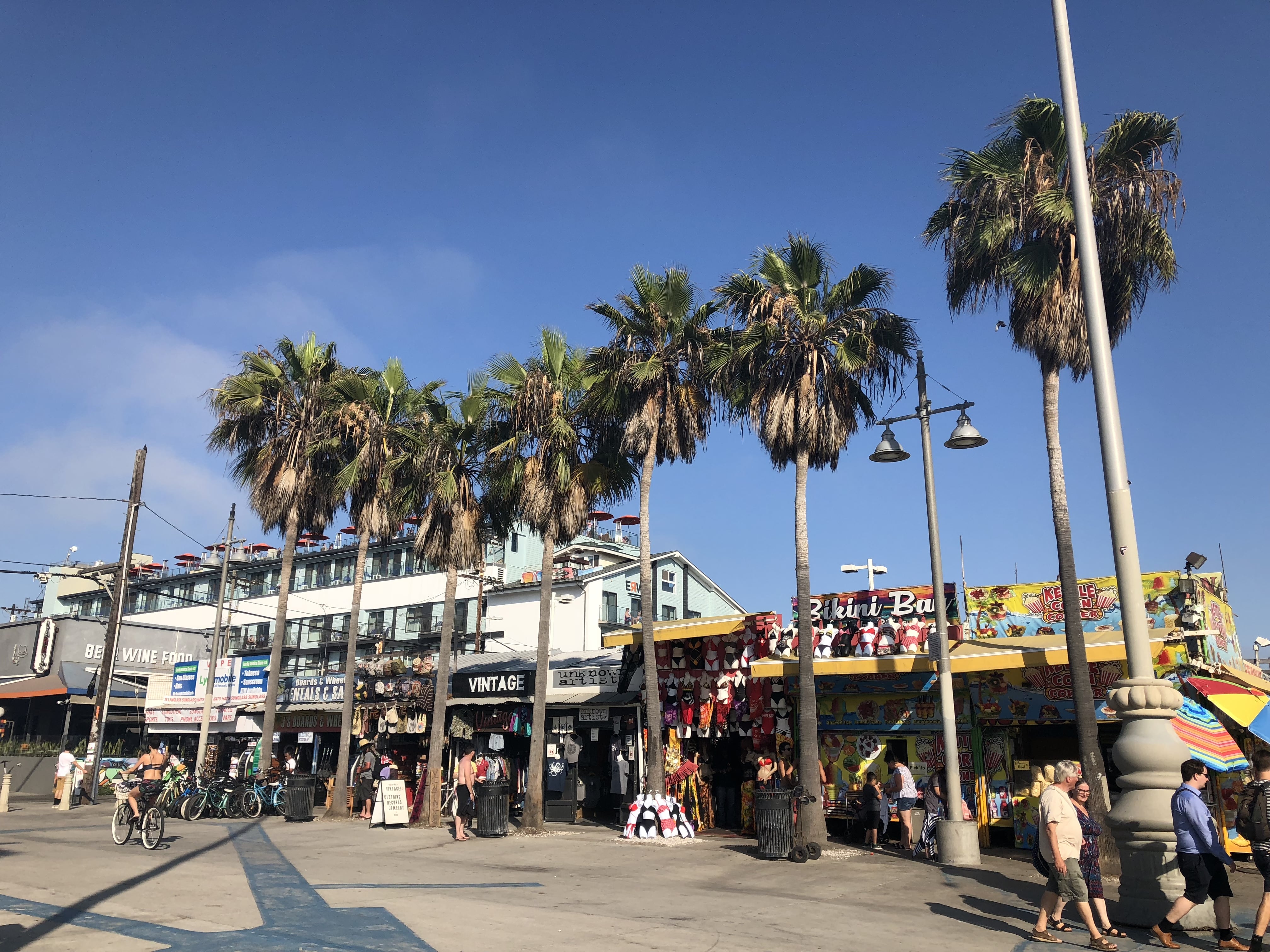 What You Should Know For a Most Excellent Time in Venice Beach Honey and Figs